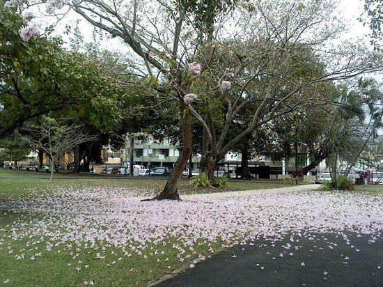 Parque de los Proceres